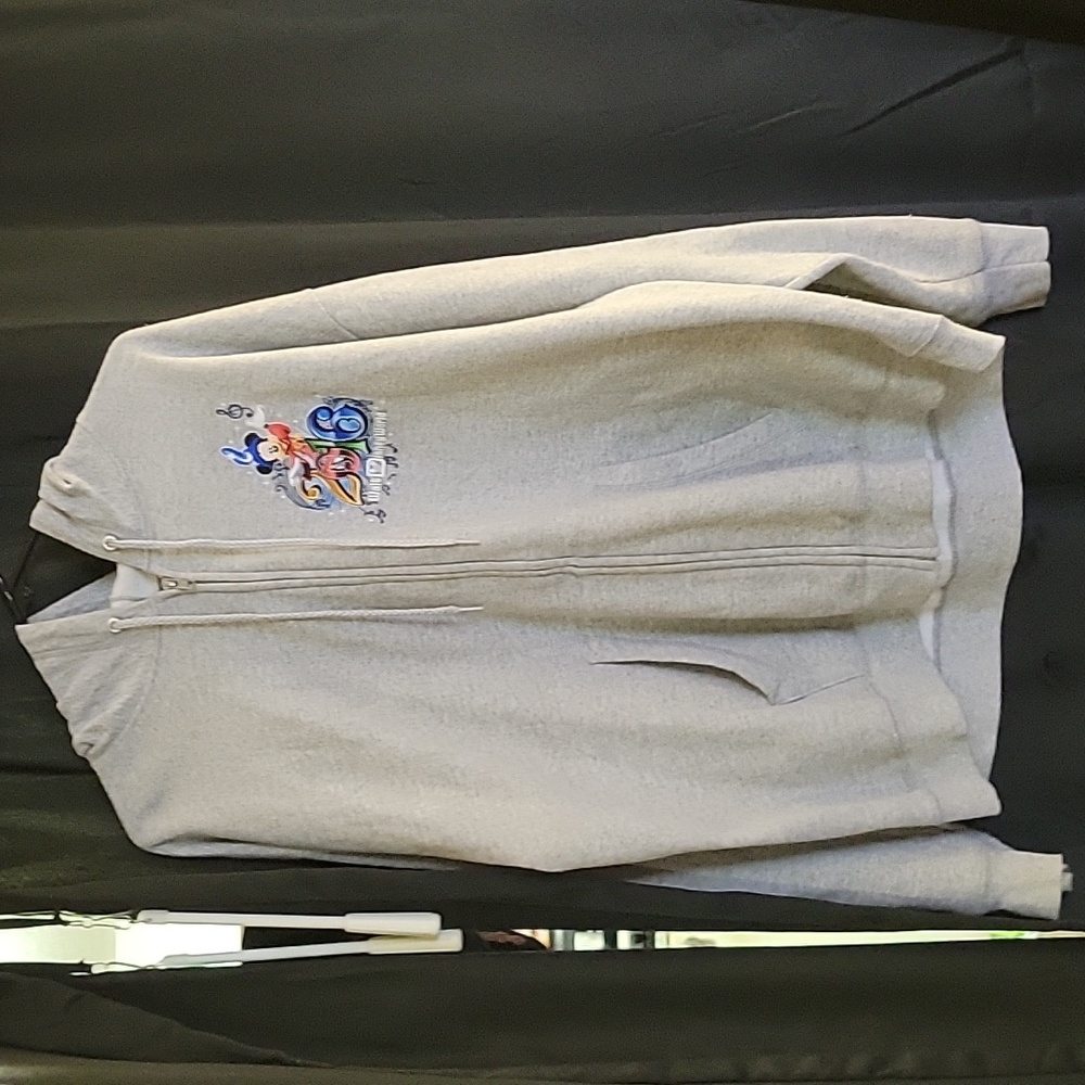 Disneyland Resort 2016 Hoodie